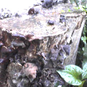 b0023745_22434835.jpg