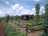 d0023346_1352456.jpg