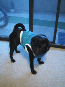 b0035453_12134357.gif