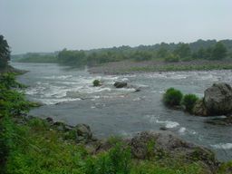 d0043161_14523315.jpg