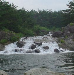 d0043161_1511447.jpg