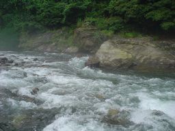 d0043161_1513263.jpg