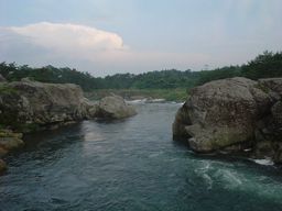 d0043161_1553415.jpg
