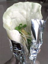 e0004062_1518753.jpg