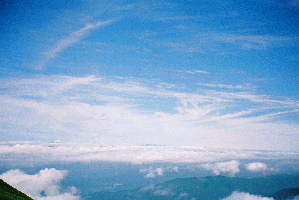 d0002224_21493025.jpg