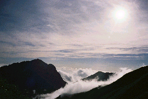 d0002224_2149441.jpg