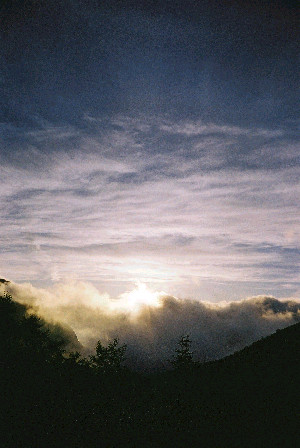 d0002224_21495229.jpg