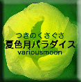 a0008934_20245555.gif
