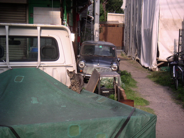 b0060646_1134116.jpg
