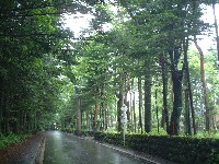 d0023346_10532980.jpg