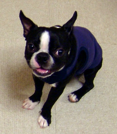 c0032567_0343163.jpg
