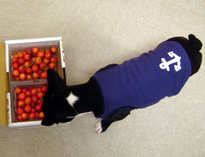 c0032567_036115.jpg