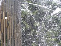 b0004675_2255223.jpg