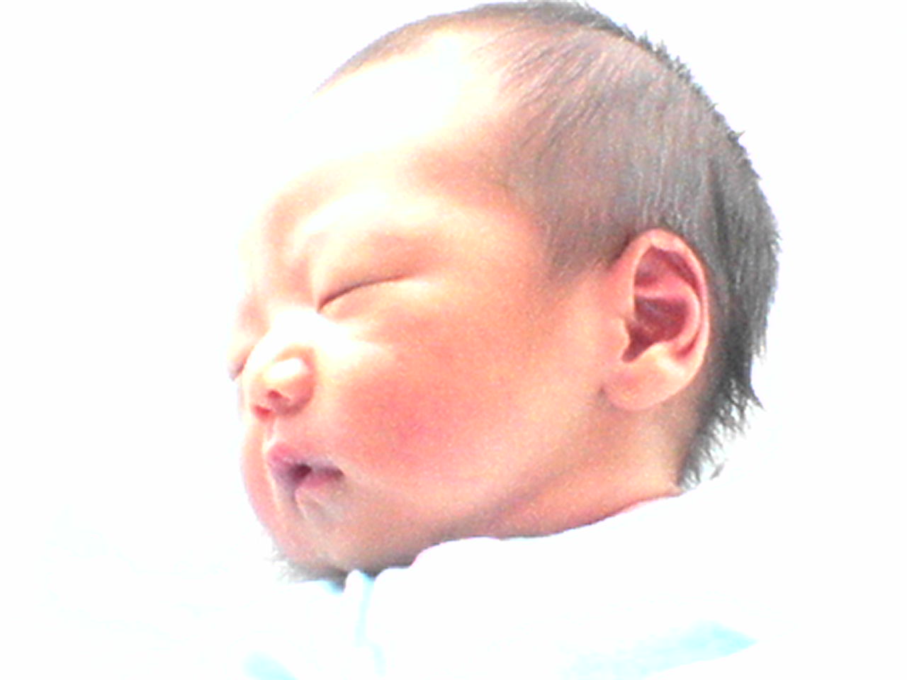 e0005887_1731343.jpg