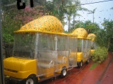 e0003090_16303278.jpg
