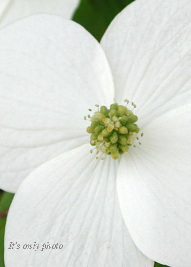 e0008800_23504010.jpg