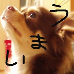 c0036617_11174038.jpg