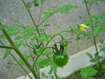 b0041537_1842144.jpg