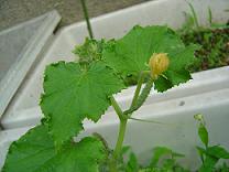 b0041537_18422189.jpg