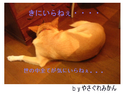 c0065643_915229.jpg