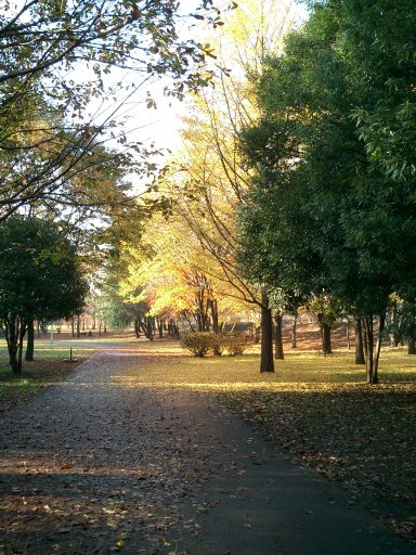 e0009147_10322971.jpg