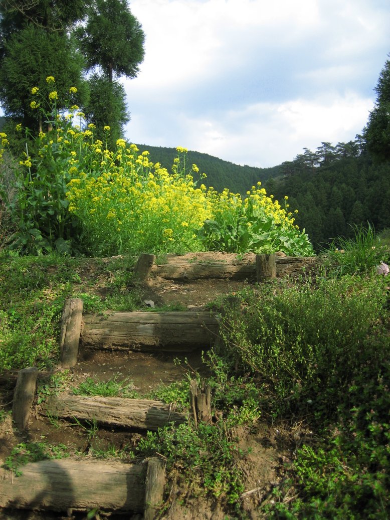 e0009147_9415097.jpg