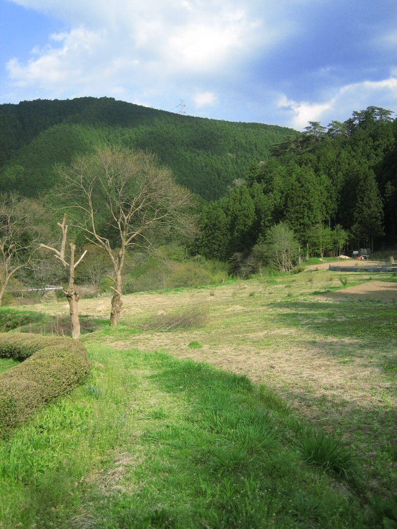 e0009147_945362.jpg
