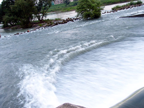 a0024250_21545762.jpg