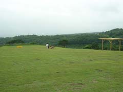 b0021650_661846.jpg