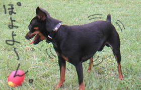 c0012571_1934184.jpg