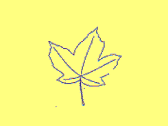 a0004391_145273.gif