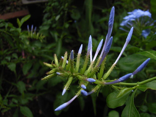 c0017802_23264879.jpg