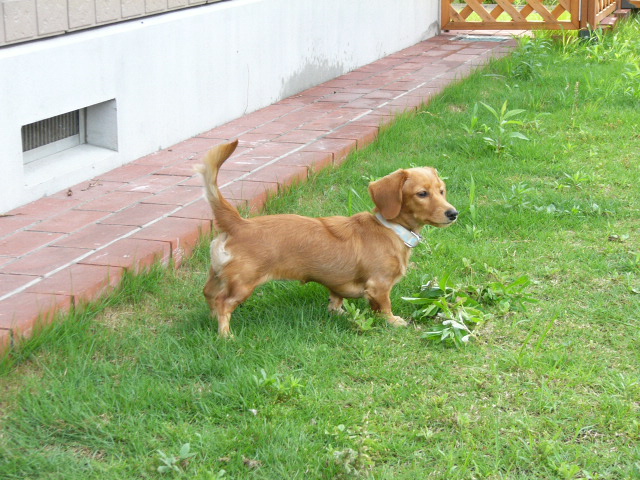 d0046905_8444744.jpg