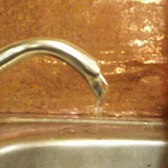 c0036617_113171.jpg