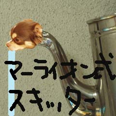 c0036617_113258.jpg