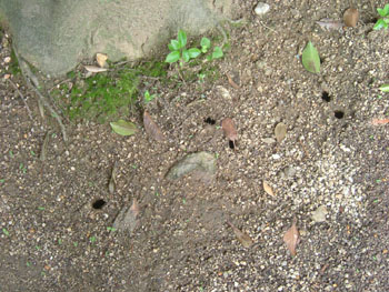 b0058229_20201275.jpg