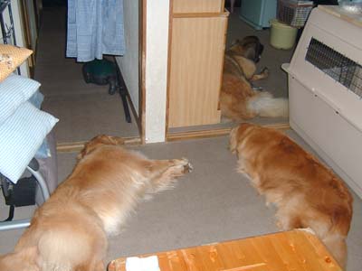 e0023643_2271760.jpg