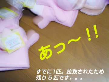 c0019050_2335848.jpg