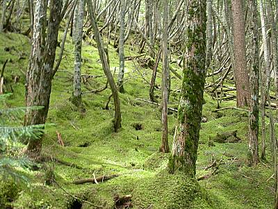 d0063550_18344281.jpg