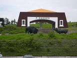 d0048366_1427748.jpg