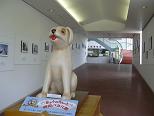 d0048366_1431661.jpg