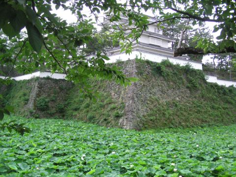 c0042869_10173719.jpg