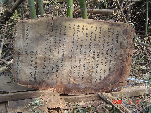 d0007071_16524863.jpg