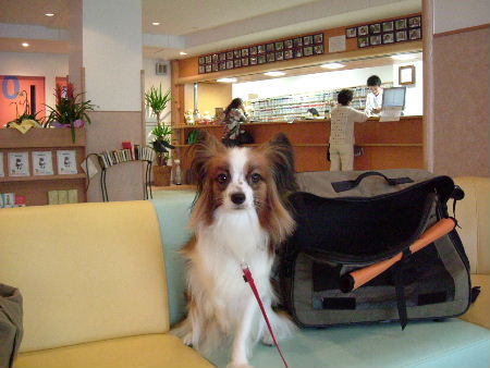 c0044199_22483994.jpg