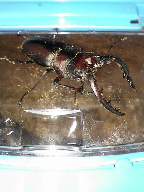 b0048509_15204545.jpg