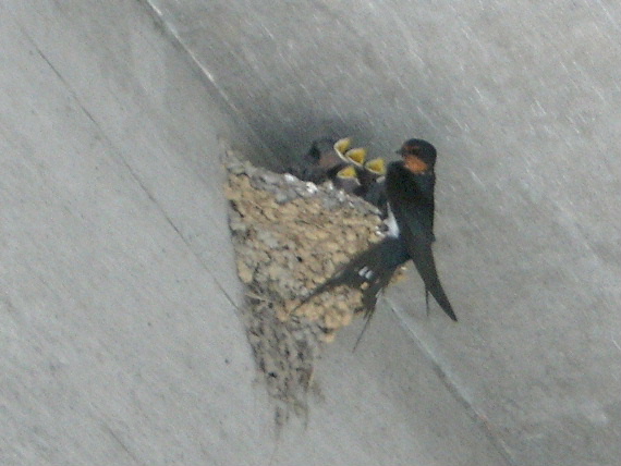 c0056014_1413288.jpg