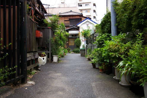 b0053019_22521772.jpg