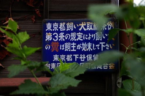 b0053019_23132070.jpg