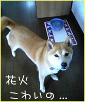 c0060620_15423474.jpg