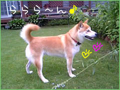 c0060620_15464216.jpg